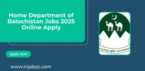 Home Department of Balochistan Jobs 2025 Online Apply